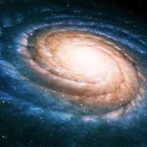 Meet your Posher, Lucy